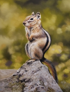 Simon of the Arkansas