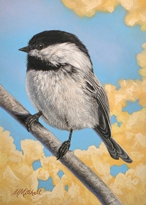 Black Capped Chickadee